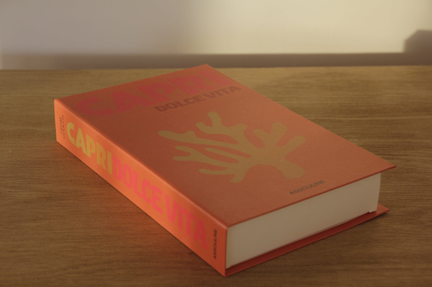 libro-caja capri