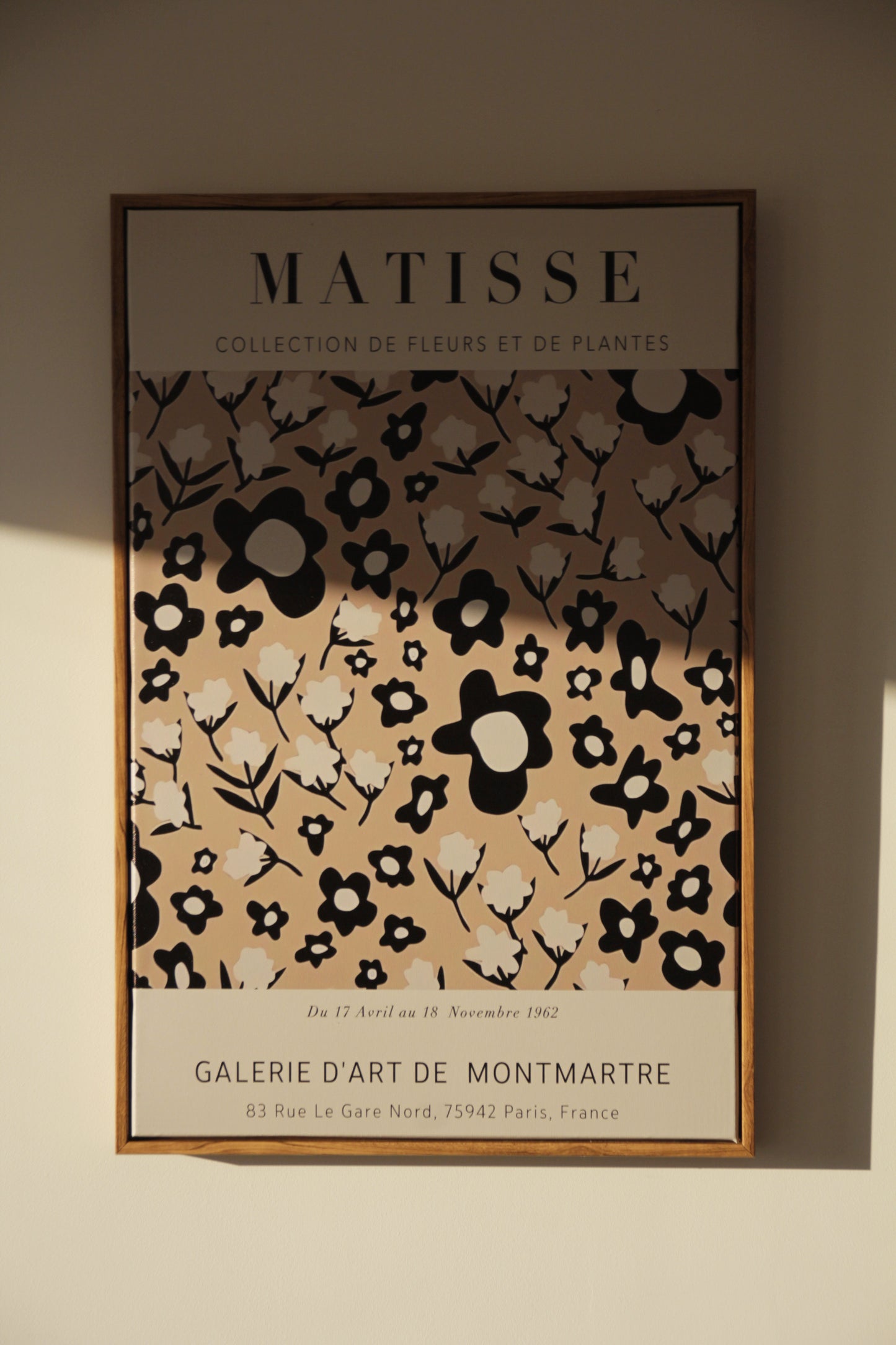 lamina matisse