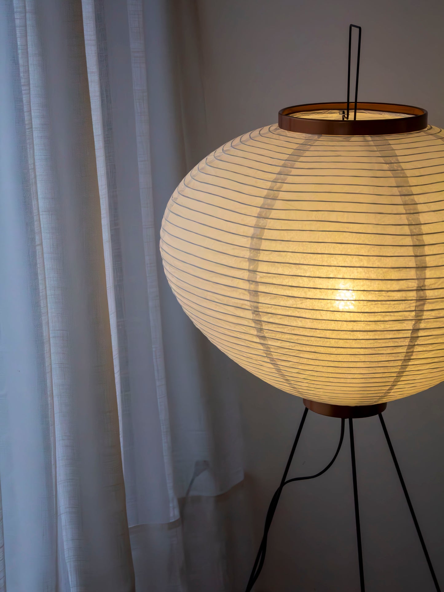 luminaria nest
